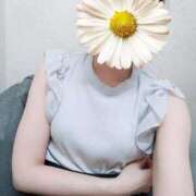 ヒメ日記 2025/03/28 18:06 投稿 つばき 電車でGOAL！