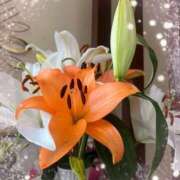 ヒメ日記 2025/01/31 06:28 投稿 平川由梨 五十路マダム 郡山店