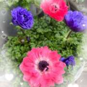 ヒメ日記 2025/02/04 17:38 投稿 平川由梨 五十路マダム 郡山店