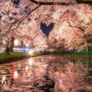 ヒメ日記 2025/03/20 15:54 投稿 石川れん 熟女デリヘル倶楽部