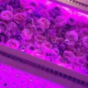 ヒメ日記 2025/04/14 11:03 投稿 石川れん 熟女デリヘル倶楽部