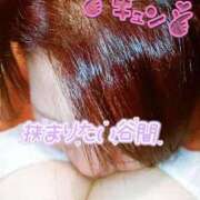 ヒメ日記 2025/04/15 13:51 投稿 石川れん 熟女デリヘル倶楽部