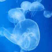 ヒメ日記 2025/05/05 20:09 投稿 石川れん 熟女デリヘル倶楽部