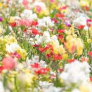 ヒメ日記 2025/07/03 18:05 投稿 石川れん 熟女デリヘル倶楽部