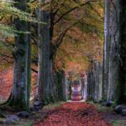 さやか あれれ～ 出会い系人妻ネットワーク 春日部〜岩槻編