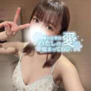 ヒメ日記 2025/11/27 20:07 投稿 れもん ハッピーブリッジ