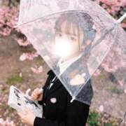 ヒメ日記 2026/04/02 12:17 投稿 れもん ハッピーブリッジ