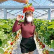 ヒメ日記 2026/04/03 13:58 投稿 れもん ハッピーブリッジ