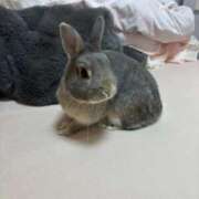 ヒメ日記 2025/10/02 20:06 投稿 にな マリン宇都宮店