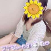 ヒメ日記 2025/08/10 11:52 投稿 さくらこ 町田人妻城