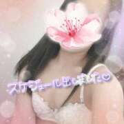 ヒメ日記 2026/04/09 14:11 投稿 さくらこ 町田人妻城