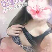 ヒメ日記 2026/04/12 10:32 投稿 さくらこ 町田人妻城