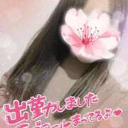 ヒメ日記 2026/04/16 10:08 投稿 さくらこ 町田人妻城