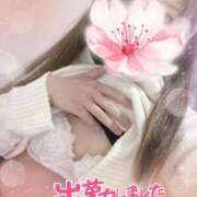 ヒメ日記 2026/04/26 10:32 投稿 さくらこ 町田人妻城