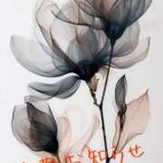 ヒメ日記 2025/08/21 08:08 投稿 みお 熟女＆人妻＆ぽっちゃり倶楽部