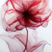 ヒメ日記 2025/09/11 18:32 投稿 みお 熟女＆人妻＆ぽっちゃり倶楽部