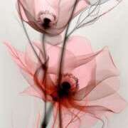 ヒメ日記 2025/09/19 10:54 投稿 みお 熟女＆人妻＆ぽっちゃり倶楽部