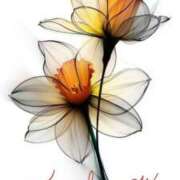 ヒメ日記 2025/10/18 22:28 投稿 みお 熟女＆人妻＆ぽっちゃり倶楽部