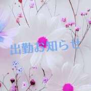 ヒメ日記 2026/06/27 09:08 投稿 みお 熟女＆人妻＆ぽっちゃり倶楽部