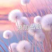 ヒメ日記 2026/09/15 20:08 投稿 みお 熟女＆人妻＆ぽっちゃり倶楽部