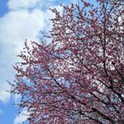 ヒメ日記 2025/04/27 00:33 投稿 南部ゆうり 札幌ソフィア