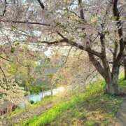 ヒメ日記 2025/05/04 22:05 投稿 南部ゆうり 札幌ソフィア