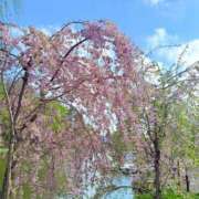 ヒメ日記 2025/05/23 18:49 投稿 南部ゆうり 札幌ソフィア