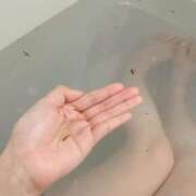 ヒメ日記 2025/06/08 00:03 投稿 南部ゆうり 札幌ソフィア