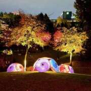 ヒメ日記 2025/11/02 21:19 投稿 南部ゆうり 札幌ソフィア