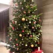 ヒメ日記 2025/11/24 17:04 投稿 南部ゆうり 札幌ソフィア