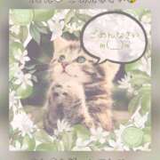 ヒメ日記 2025/06/07 14:05 投稿 ひすい 奥鉄オクテツ大阪