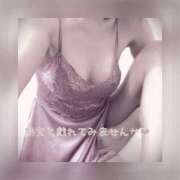 ヒメ日記 2025/07/16 11:45 投稿 ひすい 奥鉄オクテツ大阪