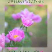 ヒメ日記 2025/07/22 14:45 投稿 ひすい 奥鉄オクテツ大阪