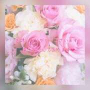 ヒメ日記 2025/08/08 14:05 投稿 ひすい 奥鉄オクテツ大阪