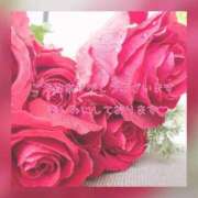 ヒメ日記 2025/08/08 18:45 投稿 ひすい 奥鉄オクテツ大阪