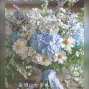 ヒメ日記 2025/10/16 14:45 投稿 ひすい 奥鉄オクテツ大阪