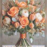 ヒメ日記 2025/11/05 07:45 投稿 ひすい 奥鉄オクテツ大阪