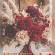 ヒメ日記 2025/11/07 10:45 投稿 ひすい 奥鉄オクテツ大阪