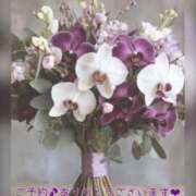 ヒメ日記 2025/11/12 08:45 投稿 ひすい 奥鉄オクテツ大阪