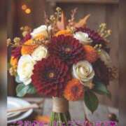 ヒメ日記 2025/11/14 12:15 投稿 ひすい 奥鉄オクテツ大阪