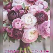 ヒメ日記 2025/11/17 04:05 投稿 ひすい 奥鉄オクテツ大阪