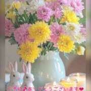 ヒメ日記 2025/11/17 17:45 投稿 ひすい 奥鉄オクテツ大阪