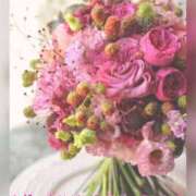 ヒメ日記 2025/11/26 08:45 投稿 ひすい 奥鉄オクテツ大阪