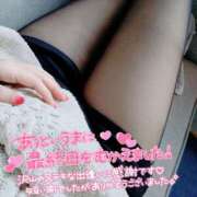 ヒメ日記 2025/04/17 10:30 投稿 みずき avant-garde(アバンギャルド)