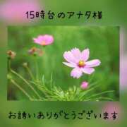 ヒメ日記 2023/10/12 14:20 投稿 ひすい 奥鉄オクテツ和歌山