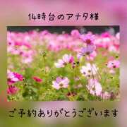 ヒメ日記 2023/10/19 13:20 投稿 ひすい 奥鉄オクテツ和歌山