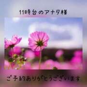 ヒメ日記 2023/11/10 10:55 投稿 ひすい 奥鉄オクテツ和歌山