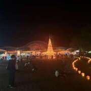 ヒメ日記 2025/08/19 11:26 投稿 ことり 宮崎ちゃんこ中央通店