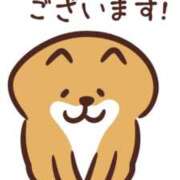 ヒメ日記 2026/08/07 21:29 投稿 ことり 宮崎ちゃんこ中央通店