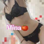 ヒメ日記 2024/12/12 15:29 投稿 みな トマトなび